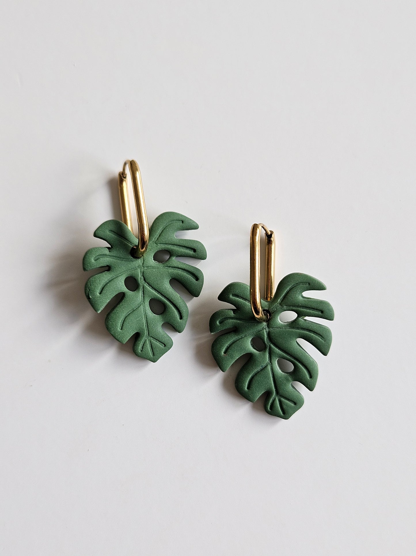 Monstera
