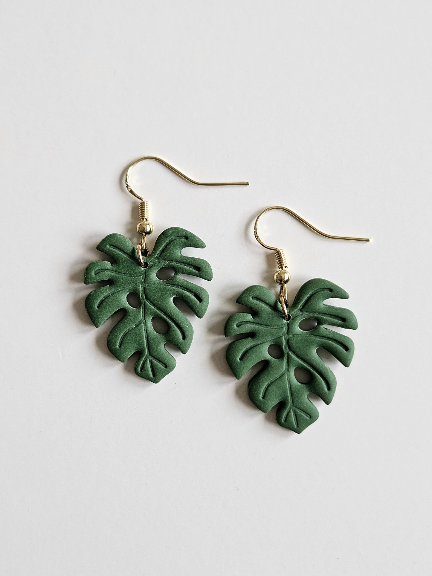Monstera