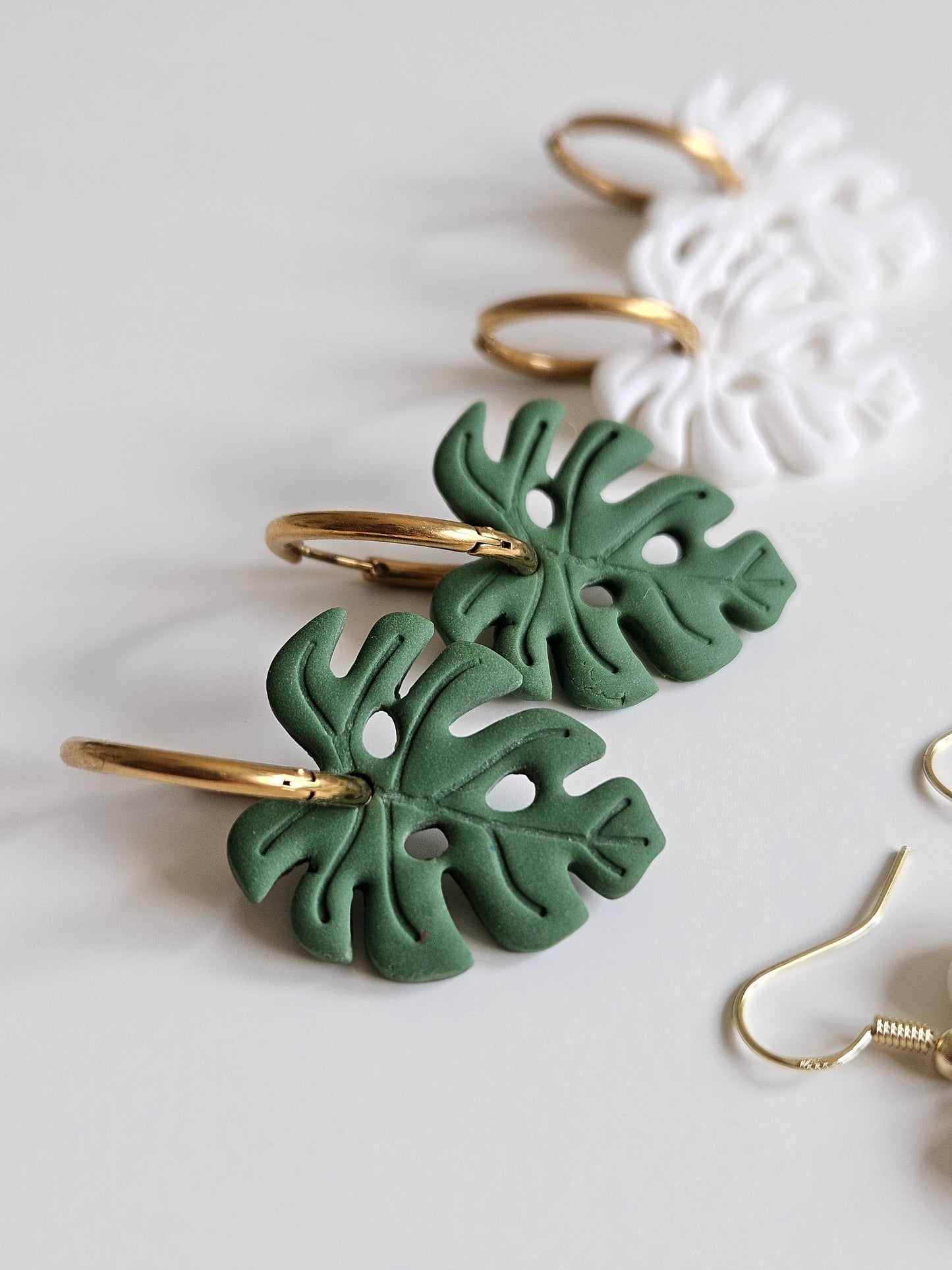 Monstera
