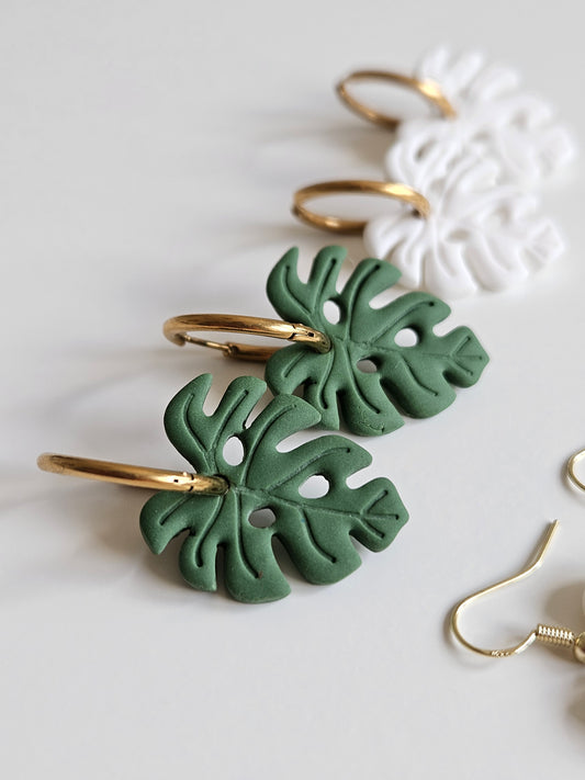 Monstera