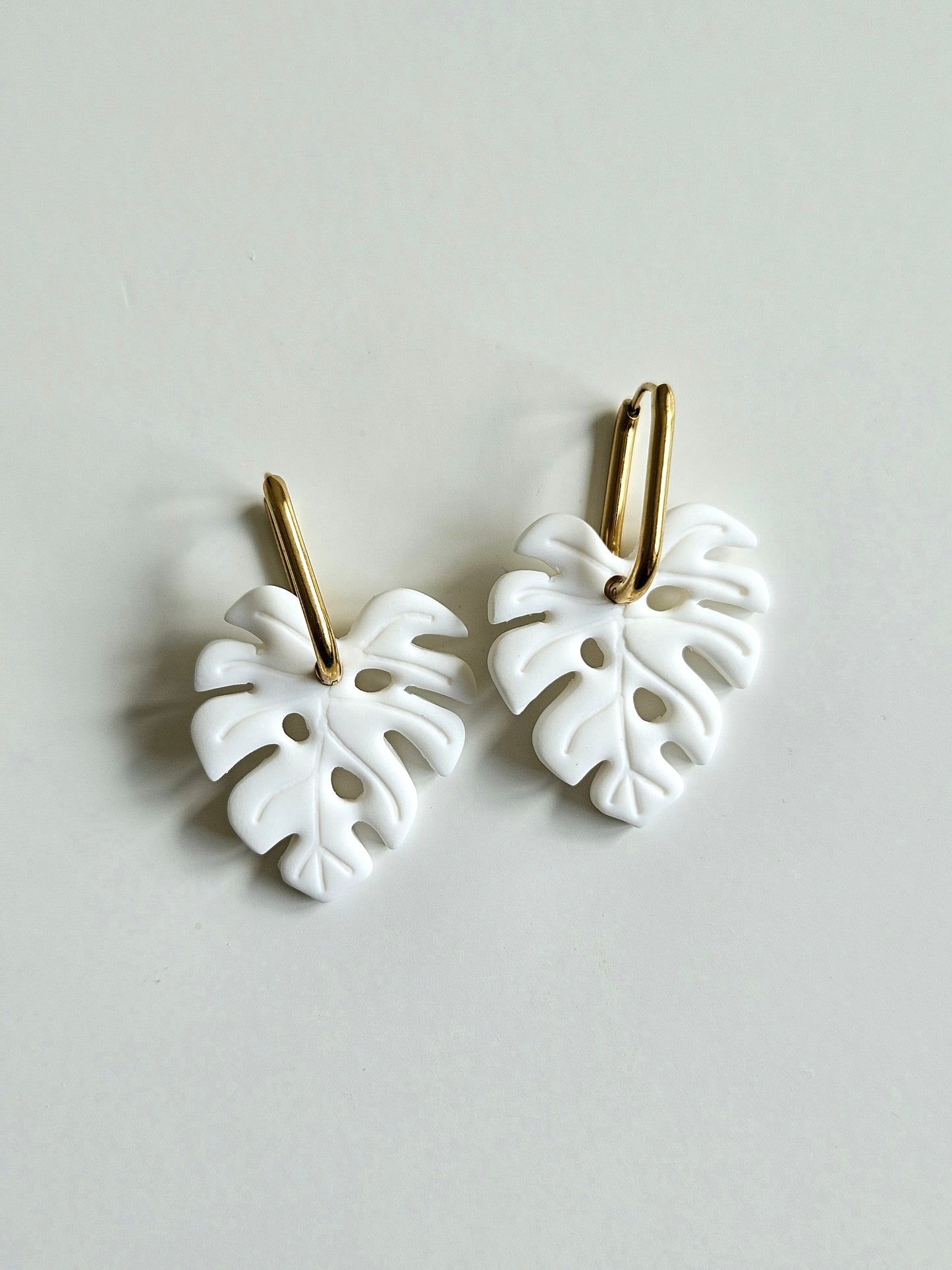 Monstera