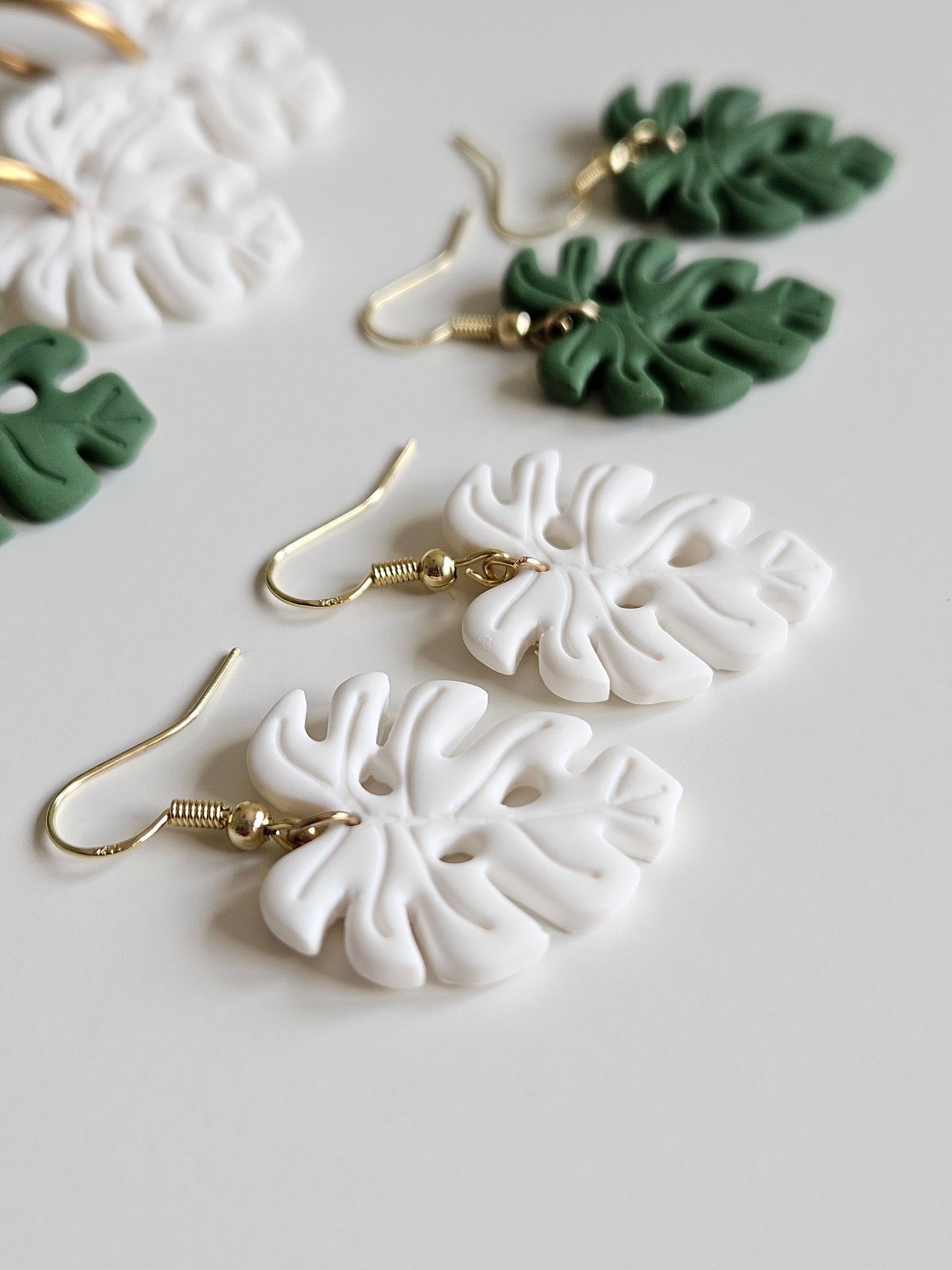Monstera