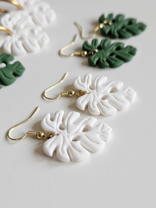 Monstera